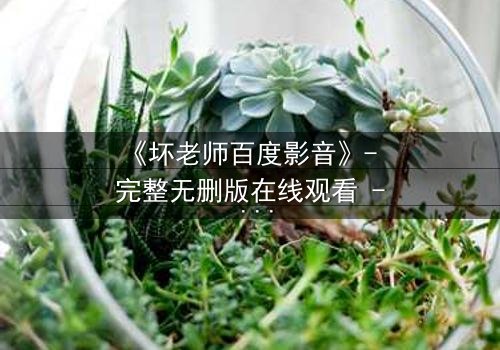 《坏老师百度影音》- 完整无删版在线观看 - 当叛逆教师遇上校园风暴