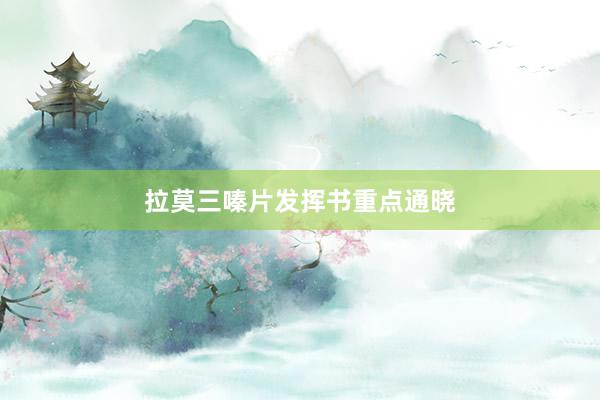 拉莫三嗪片发挥书重点通晓